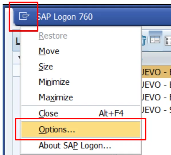 STELA SAP Inspector