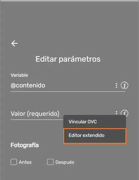 Editor Extendido