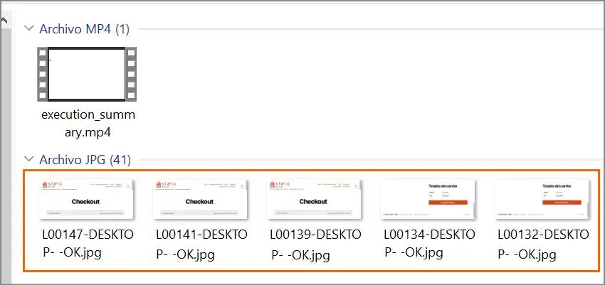 Evidencia en imágenes - STELA