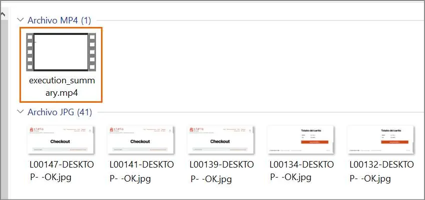 Evidencia en video  - STELA