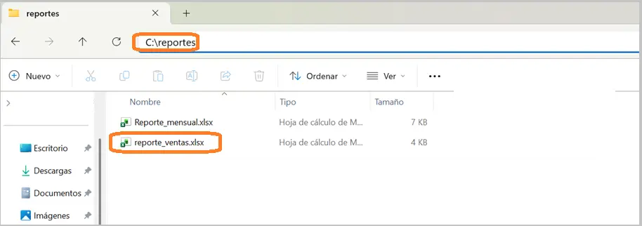 Comando FileFx  evidencia STELA