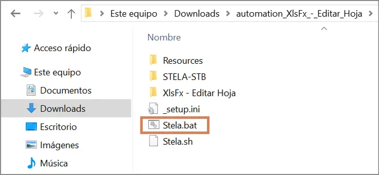 Evidencia Stela